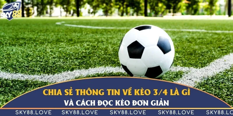 Chia sẻ thông tin về kèo 3/4 là gì và cách đọc kèo đơn giản