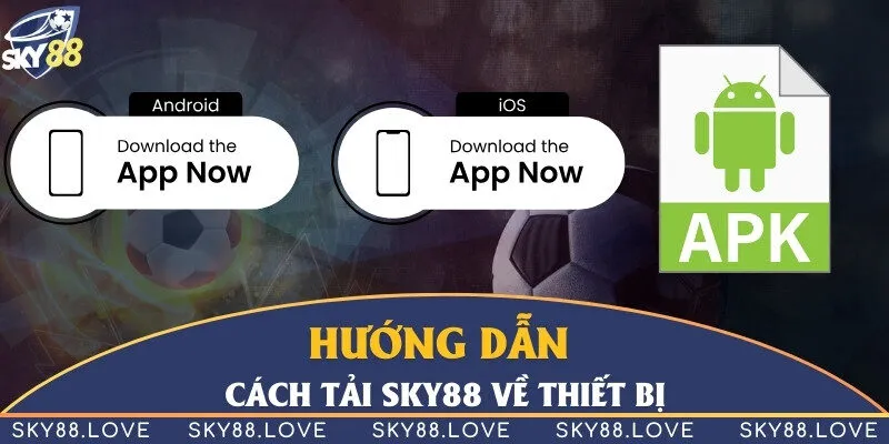 Hướng dẫn các tải đơn giản cho bạn 