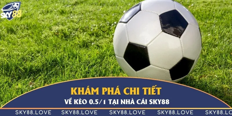 Khám phá chi tiết về kèo 0.5/1 tại nhà cái Sky88