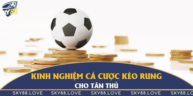 Nắm rõ những kinh nghiệm chơi đơn giản từ chuyên gia