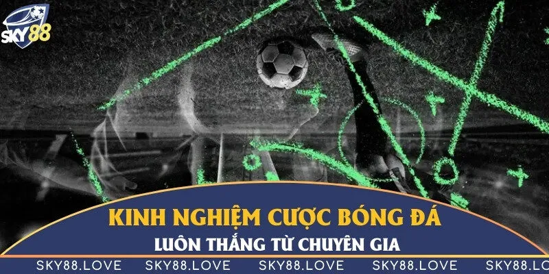 Những kinh nghiệm quý báu từ chuyên gia