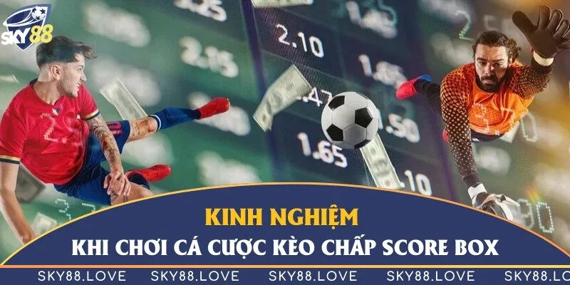 Học hỏi thêm kinh nghiệm từ người đi trước để cá độ được hiệu quả hơn