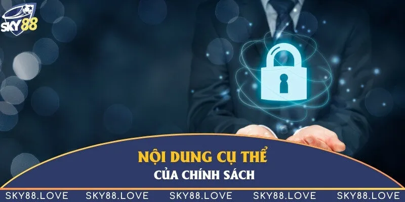 Tổng hợp nội dung cụ thể trong chính sách bảo vệ thông tin người chơi mới nhất 2024