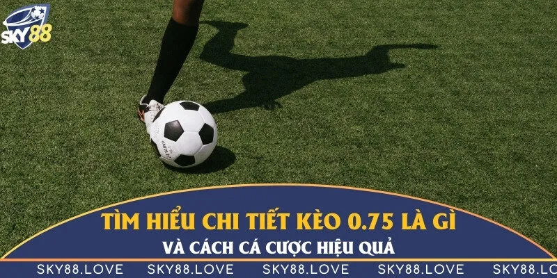 Tìm hiểu chi tiết kèo 0.75 là gì và cách cá cược hiệu quả