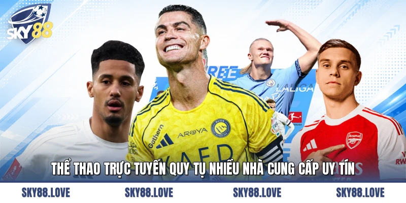 Thể thao trực tuyến quy tụ nhiều nhà cung cấp uy tín